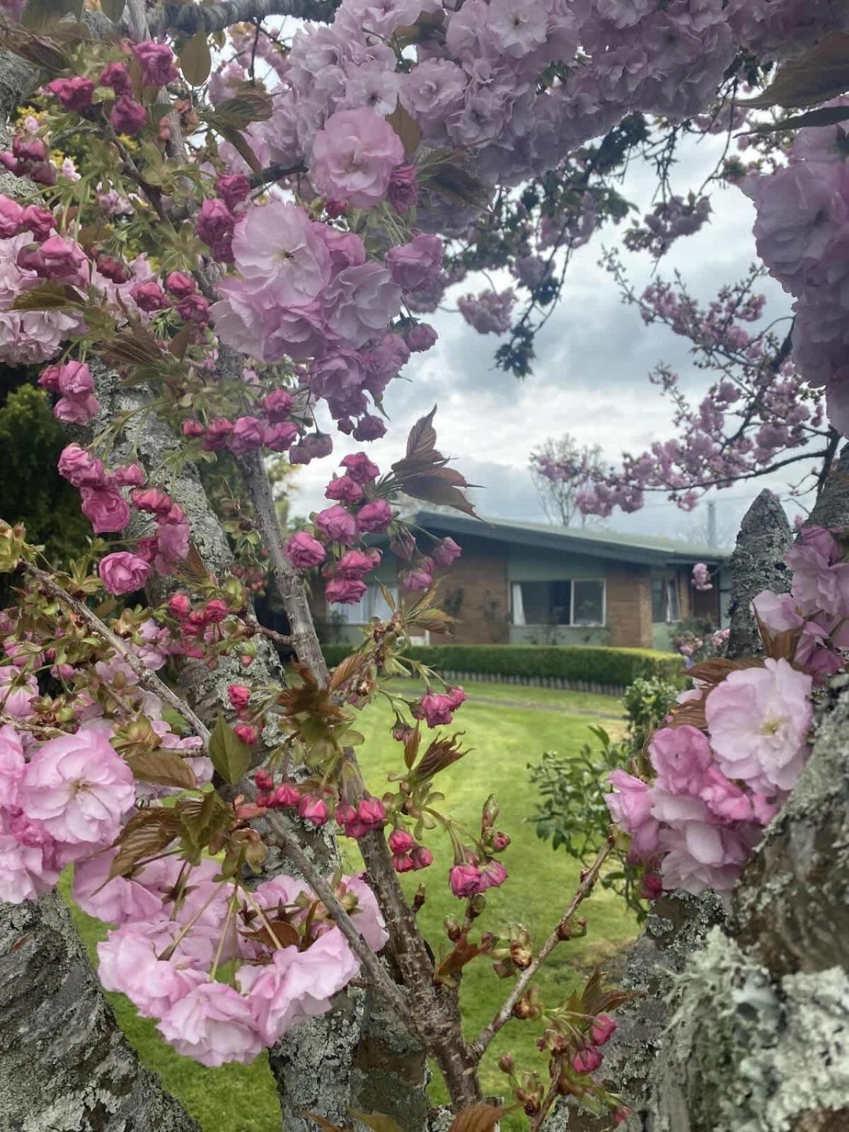רוטורואה Roselake Retreat מראה חיצוני תמונה